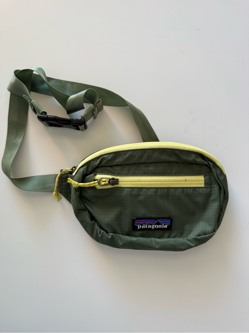 Patagonia Small Fanny Pack
